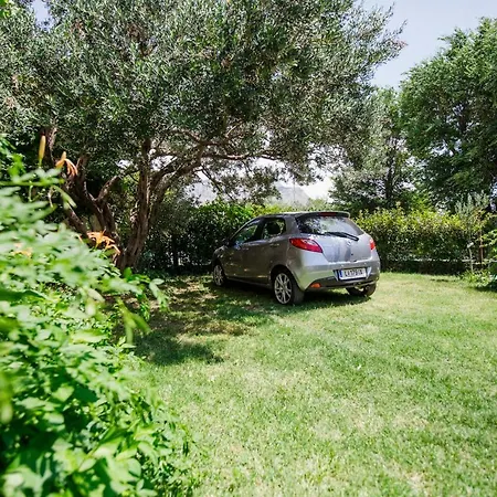 Diridonda アパート オミシュ