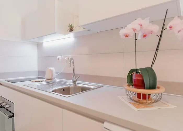 Diridonda * 오미스