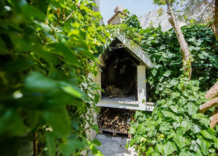 Diridonda 아파트 오미스